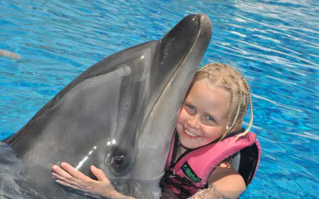 Swimming with Dolphins - 1
