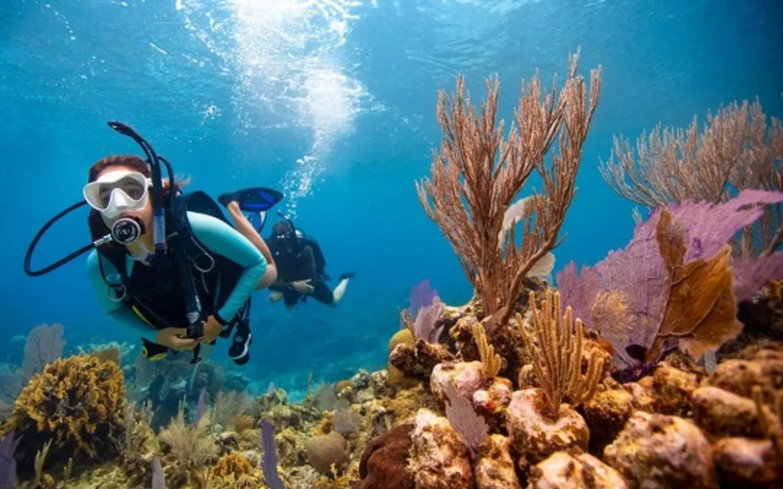 Scuba Diving Tour