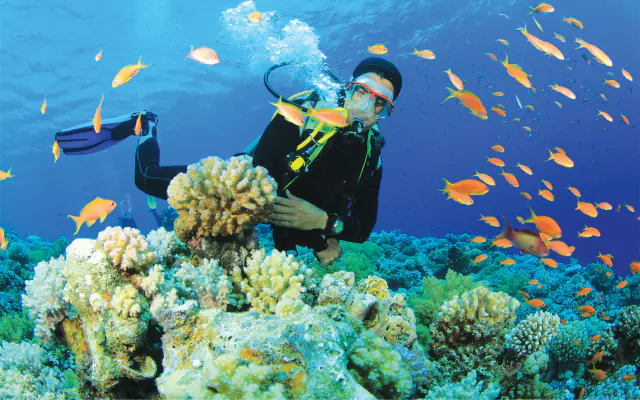 Scuba Diving Tour - 1